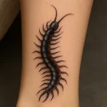 Centipede tattoo — what it represents