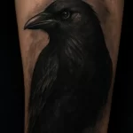 Crow tattoo — symbolism and deep meaning explained