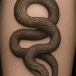 Snake tattoo — symbolism, meaning, and cultural significance