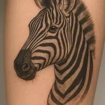 Zebra tattoo — symbolism and deep meaning explained